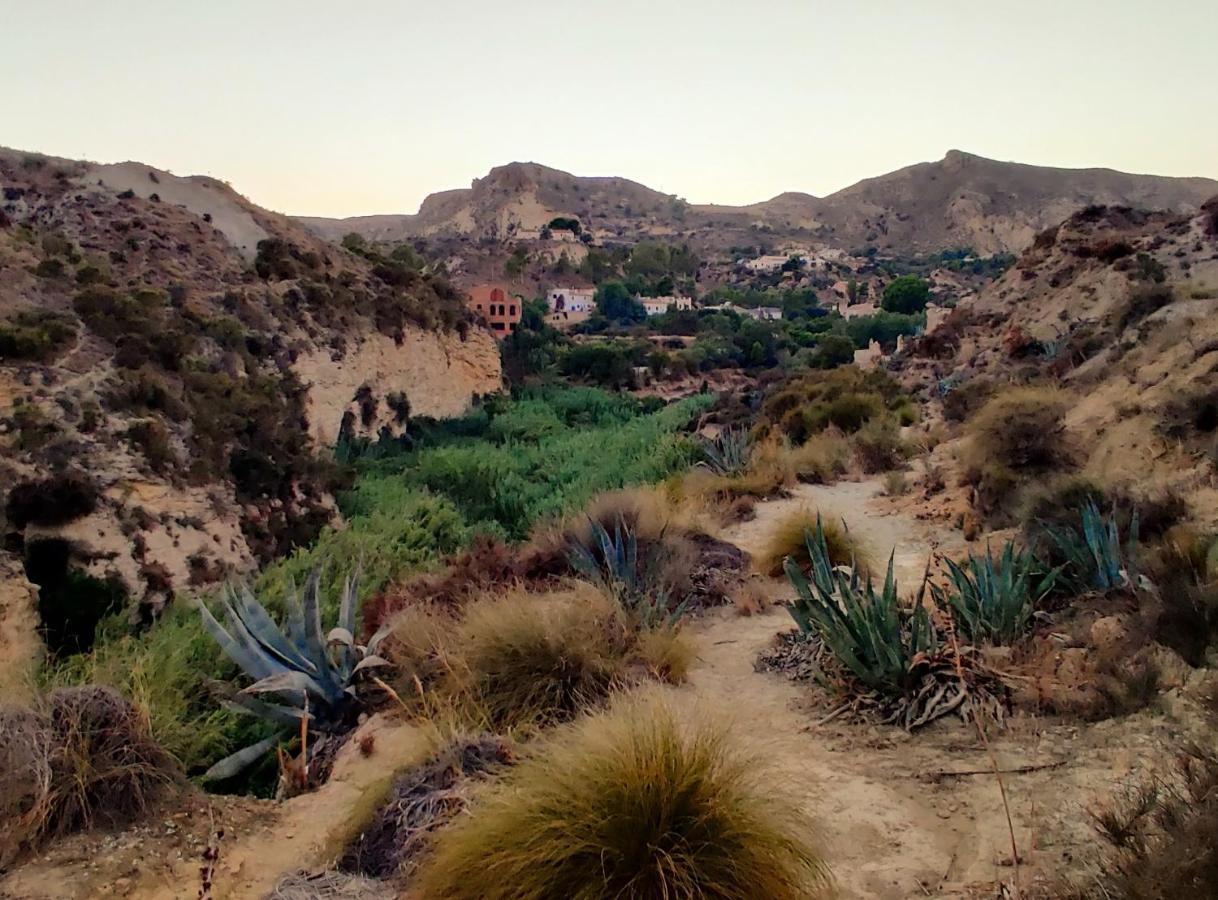 Villa Aloe - Chill In The Sun! مْبيرا المظهر الخارجي الصورة